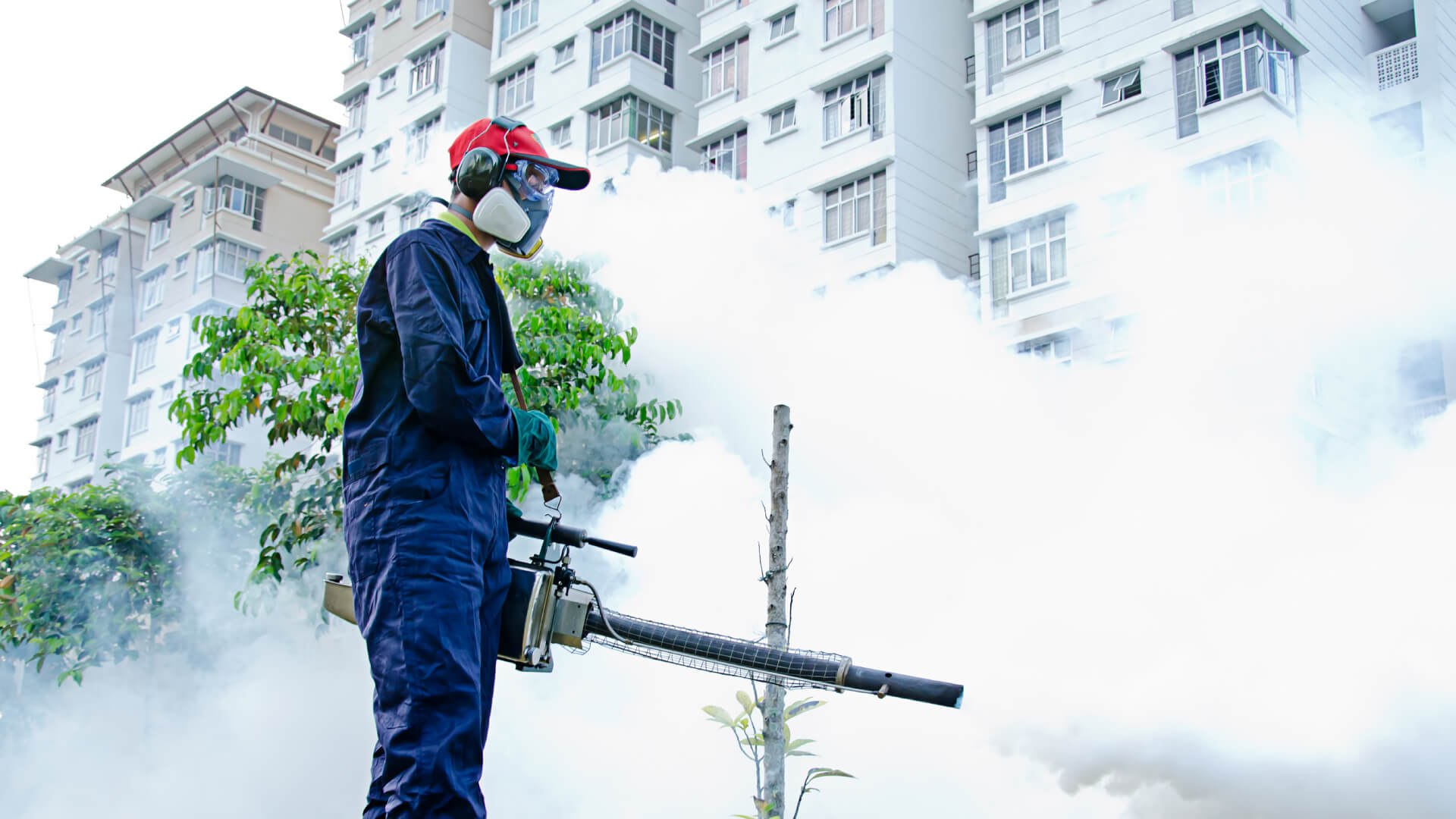 Servus-WebGfx-pest-control-header-reverse