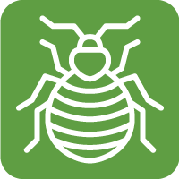Servus-WebGfx-tick-icon